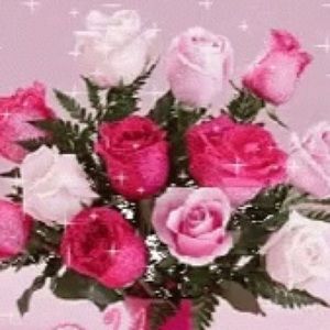 Meet your Posher, Kywona